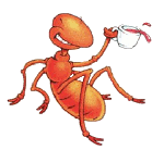 Une fourmis qui boit du café
